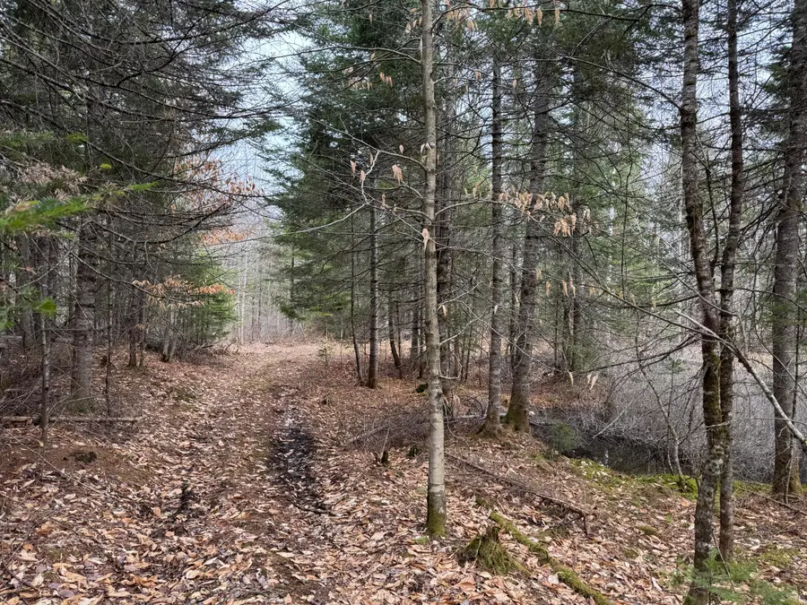 0 Mantor School House Road, Parkman, ME 04443 - #2