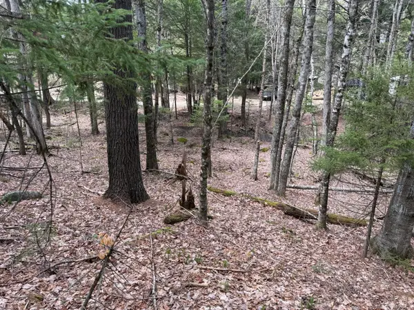 3 Webb River Acres, Carthage, ME 04224