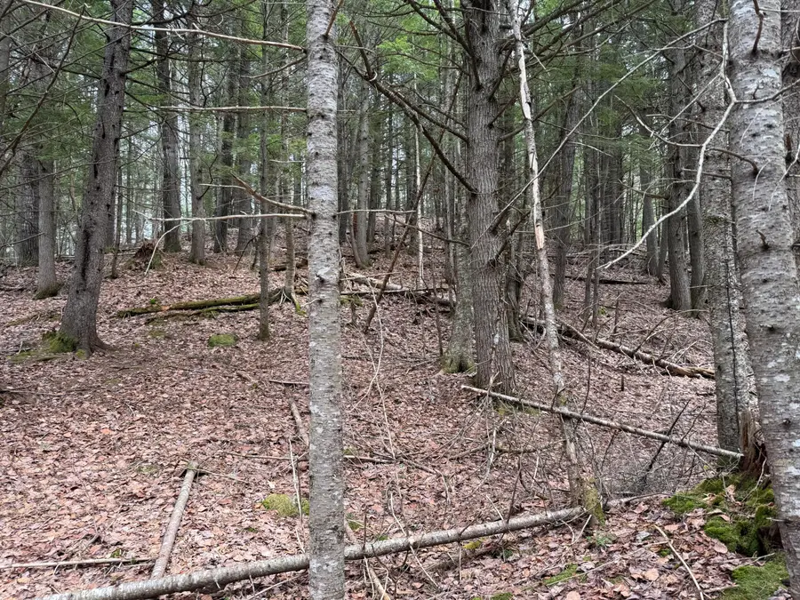 3 Webb River Acres, Carthage, ME 04224 - #2