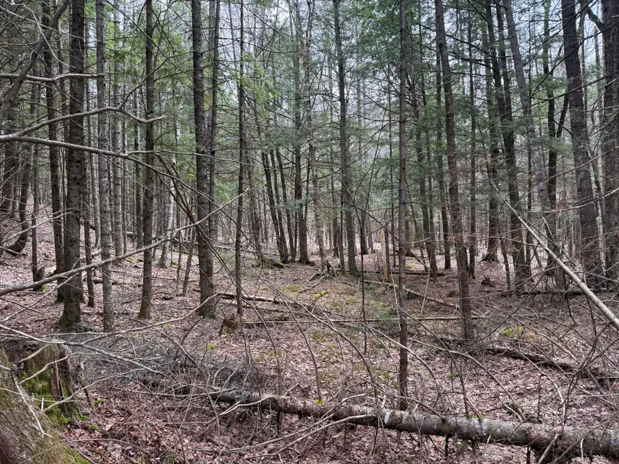 3 Webb River Acres, Carthage, ME 04224 - #3