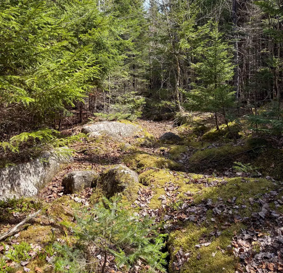 Lot 10 Morrison Brook Acres, Oakfield, ME 04763 - #2