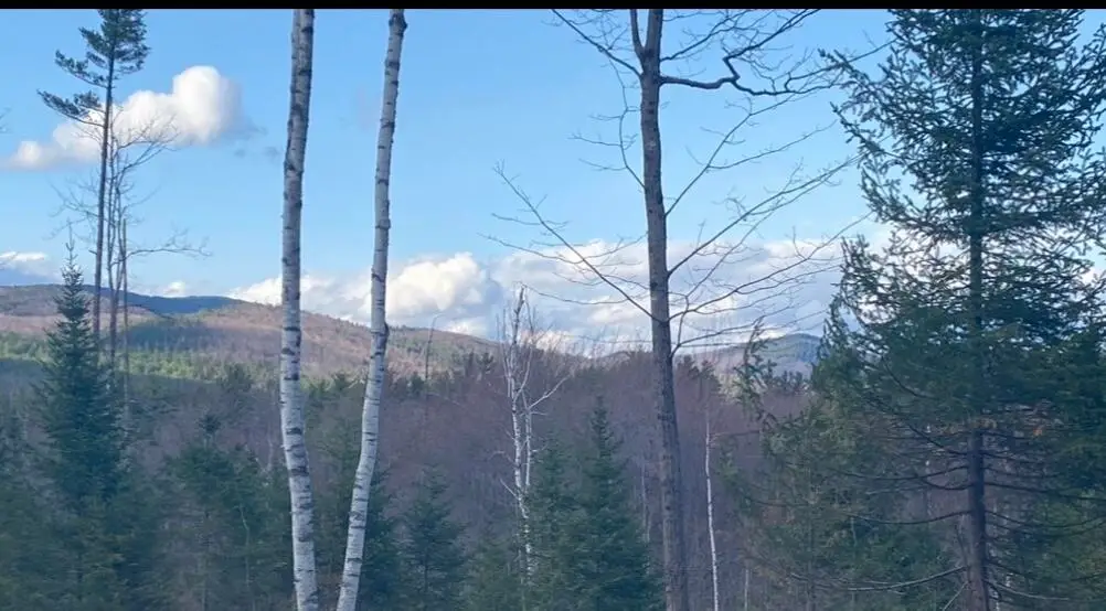 Lot 1 Fleming Road, Bethel, ME 04217 - #1
