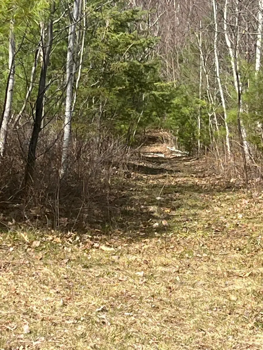 M2L68 Cards Ridge Road, Greenbush, ME 04418 - #3
