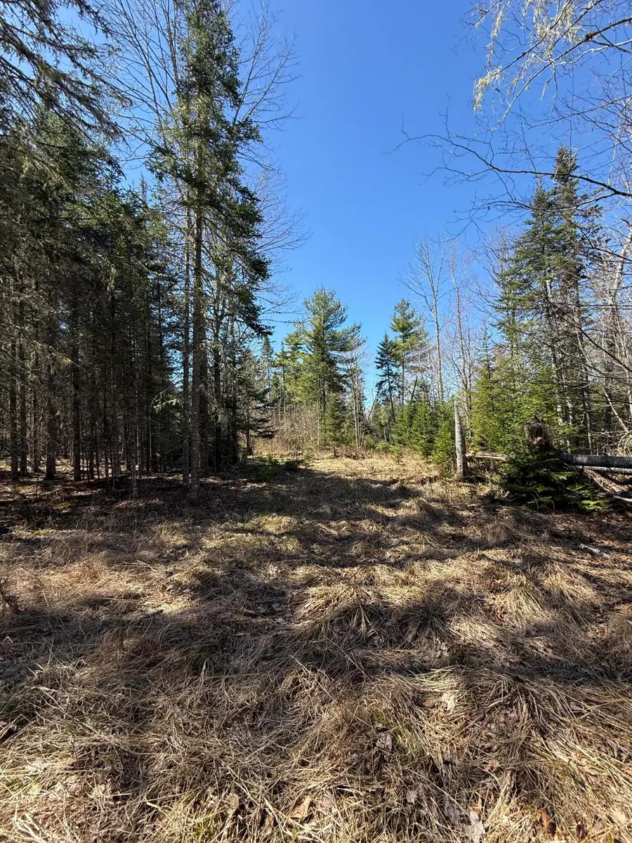 Lot 016-01 142 Old Fisher Rd Road, Holden, ME 04429 - #3