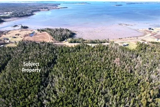 Lot 29D Cutler Road, Whiting, ME 04691 - #2