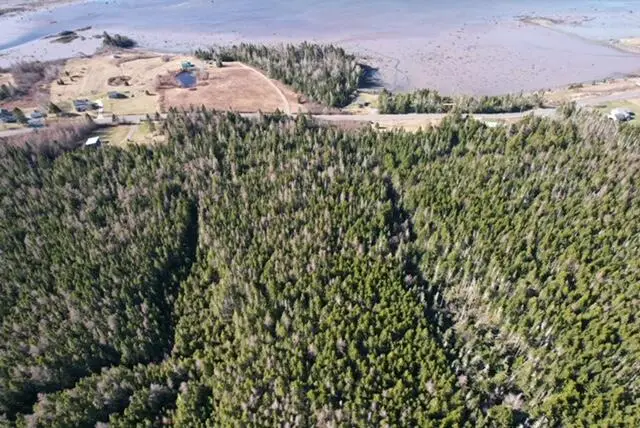 Lot 29D Cutler Road, Whiting, ME 04691 - #3