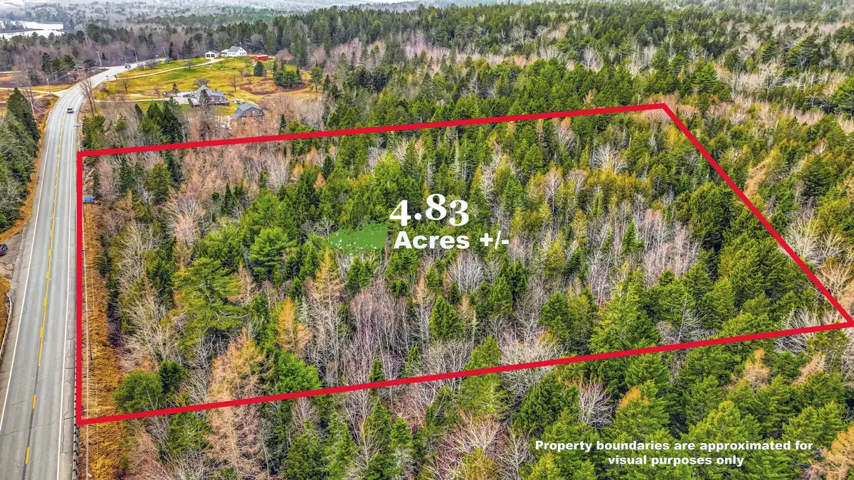 0 Swamp Road, Gouldsboro, ME 04607 - #1