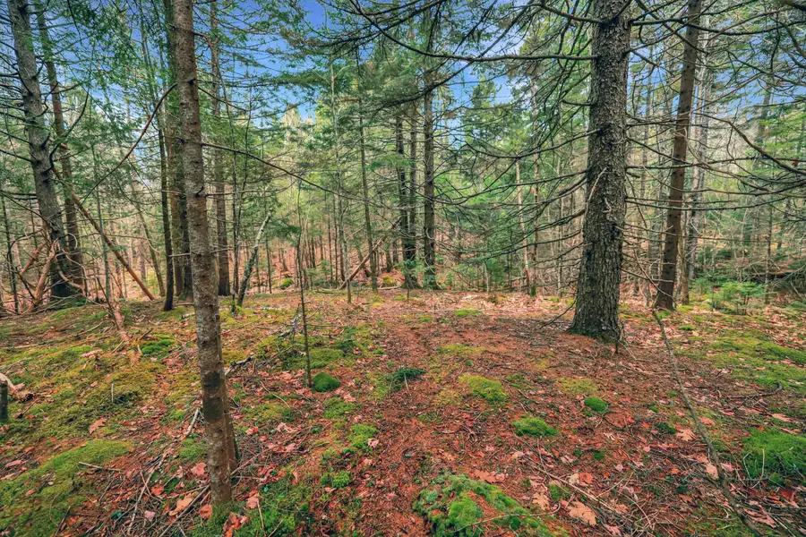 0 Swamp Road, Gouldsboro, ME 04607 - #3