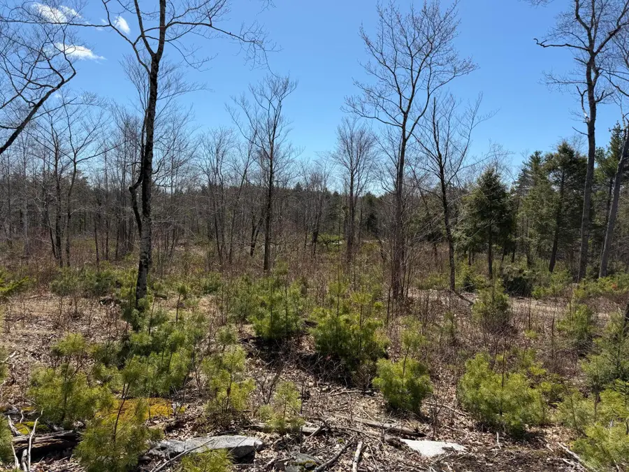 M10 L39B Christian Hill Road, Bristol, ME 04539 - #3