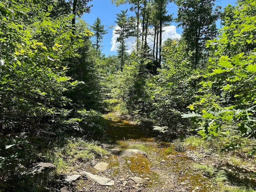 Lot 06-04 Route 109 Route, Acton, ME 04001 - #3