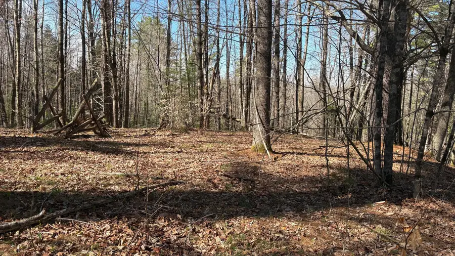 13 Mayhew Road, Starks, ME 04911 - #2