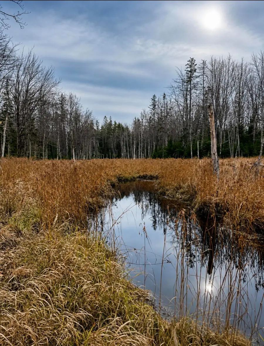00 Kinstone Lane, Trenton, ME 04605 - #2