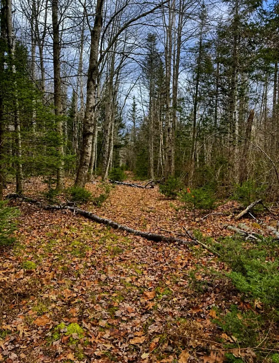 00 Kinstone Lane, Trenton, ME 04605 - #3