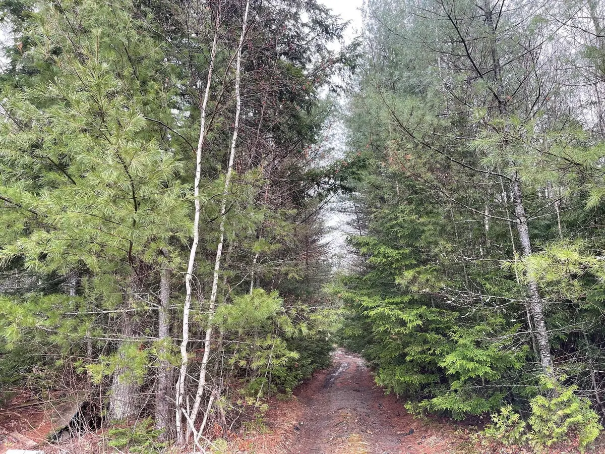Lot 10-14 Ten Road And Boynton Street Street, Bradley, ME 04411 - #1