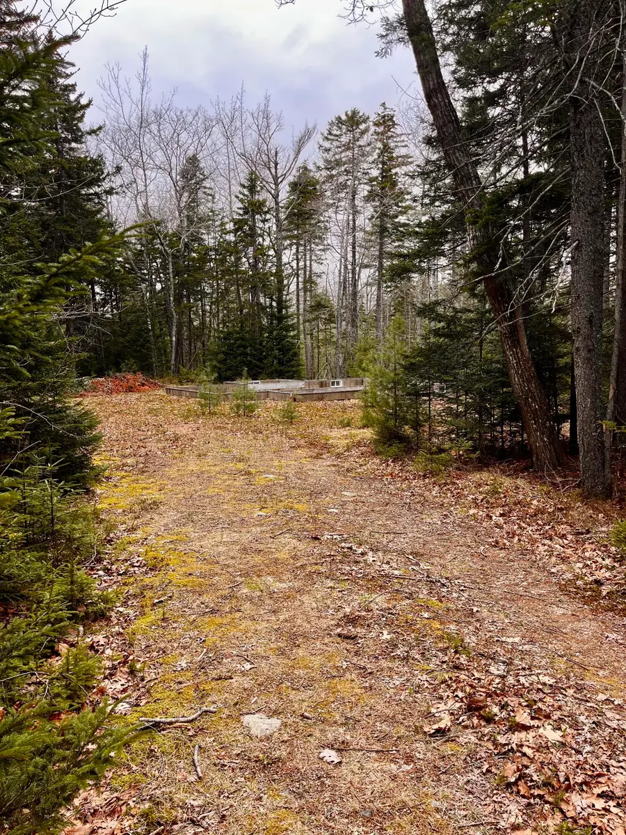 34 Bunchberry Lane, Bristol, ME 04539 - #2