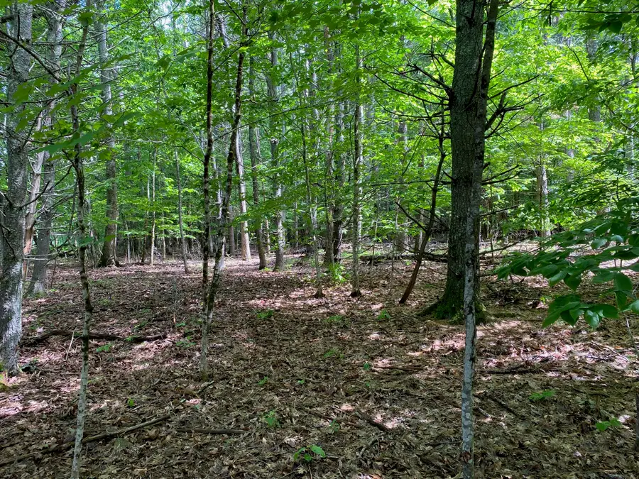 34-Acres Deering Drive, Gorham, ME 04038 - #3