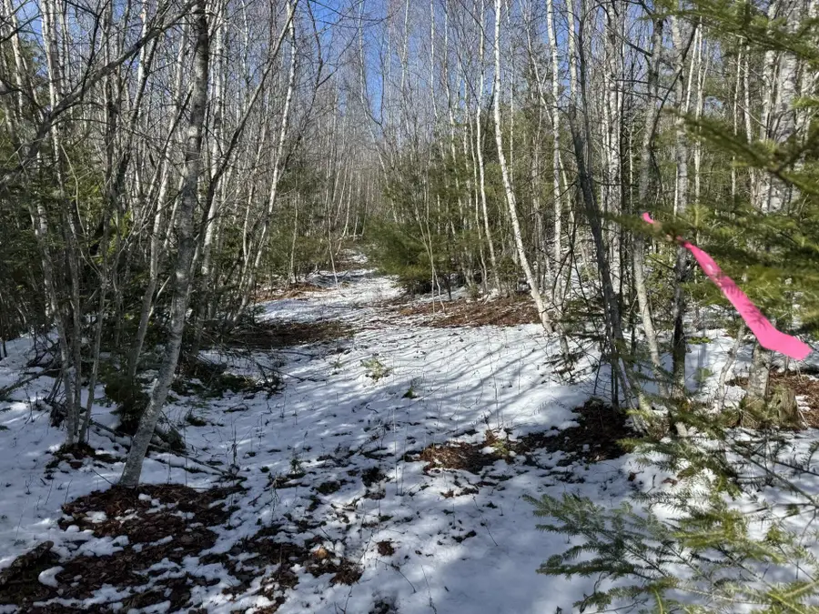 Lot 21 Bog Road, Benton, ME 04901 - #3