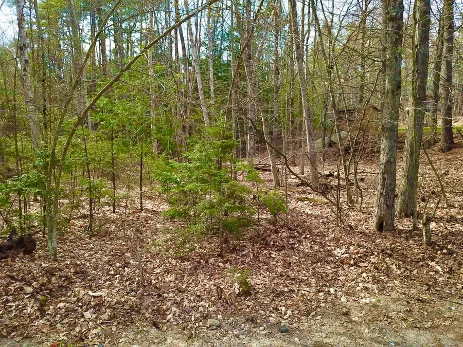 6 Chickadee Lane, Sebago, ME 04029 - #2