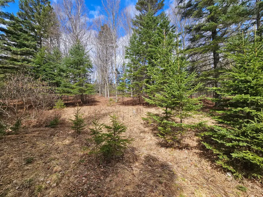 Lot 9 Amber Road, Rangeley, ME 04970 - #2