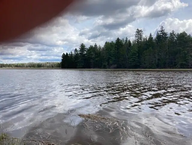 Lot 1 Point Street, Addison, ME 04606 - #2