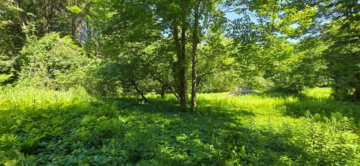 16 Wilson Road, Gorham, ME 04038 - #1
