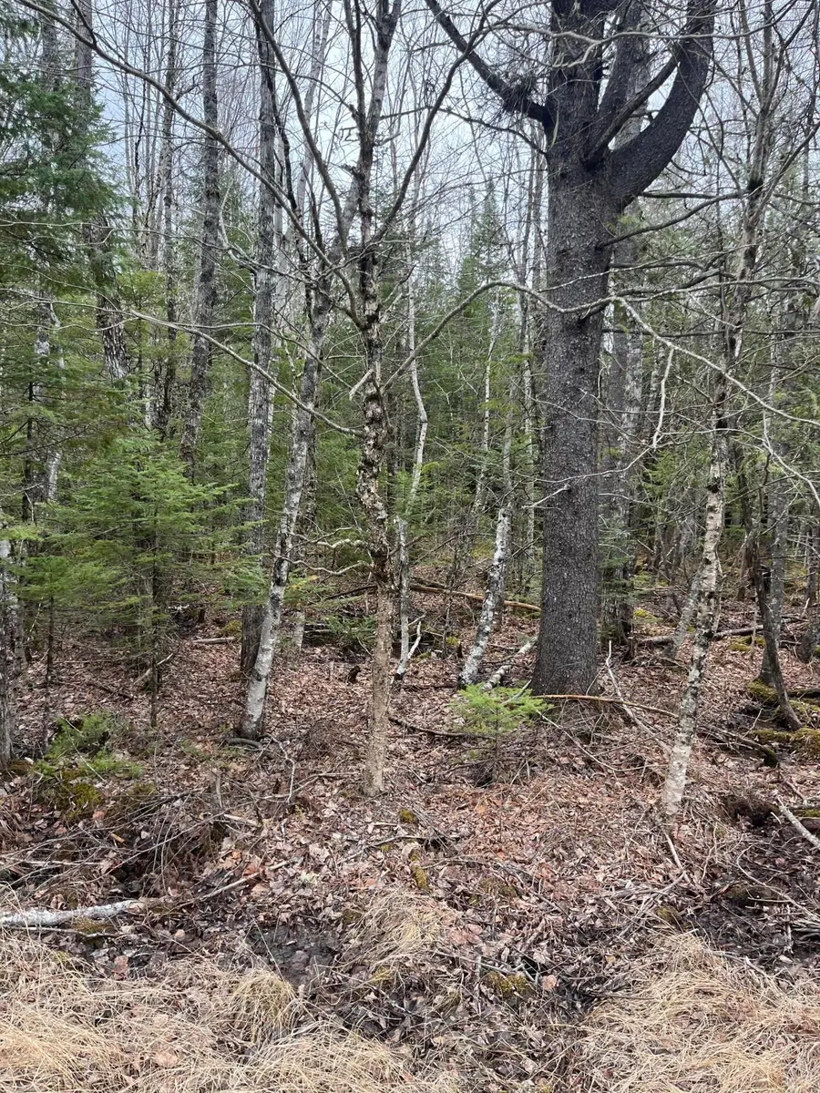 M6L10 Boundary Road, Orient, ME 04471 - #2