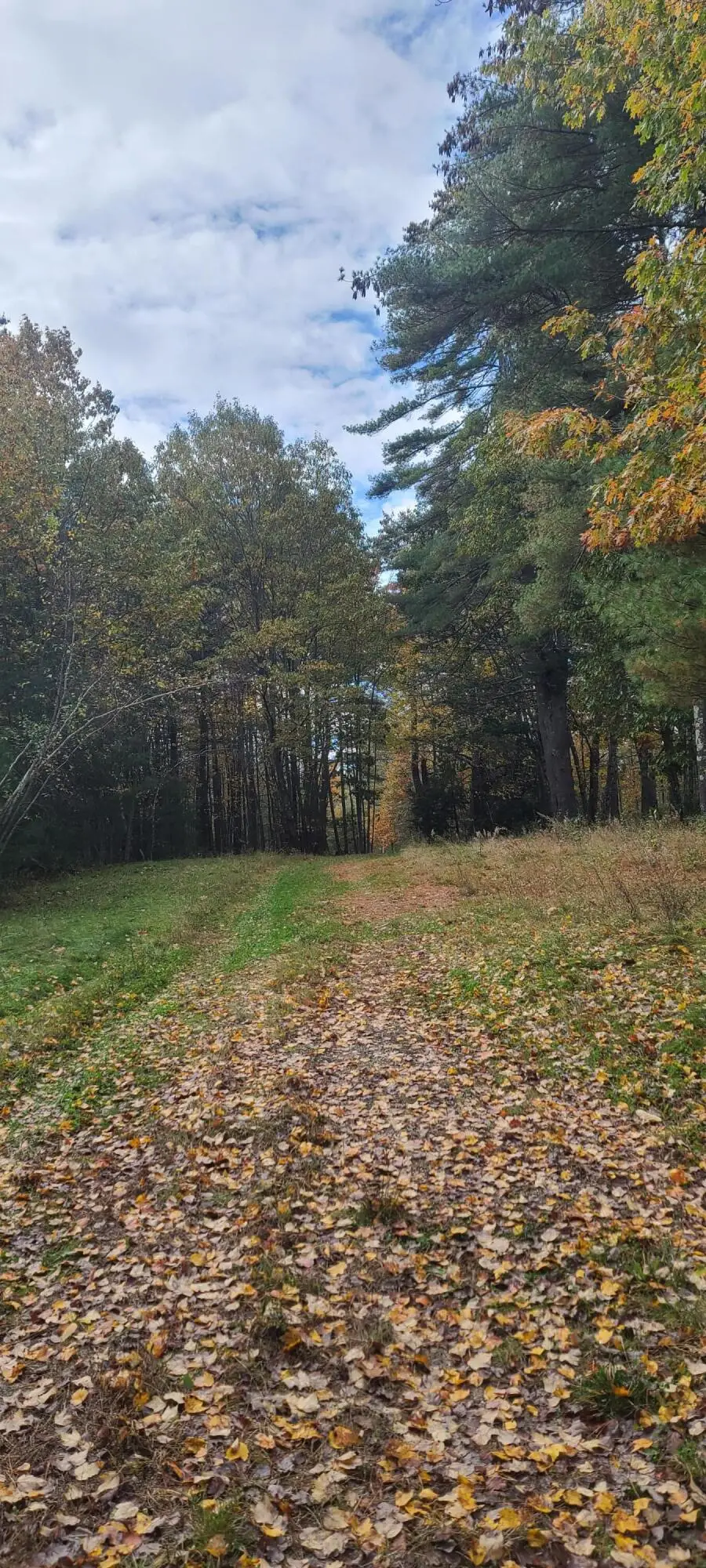 96C Broadturn Road, Scarborough, ME 04074 - #3