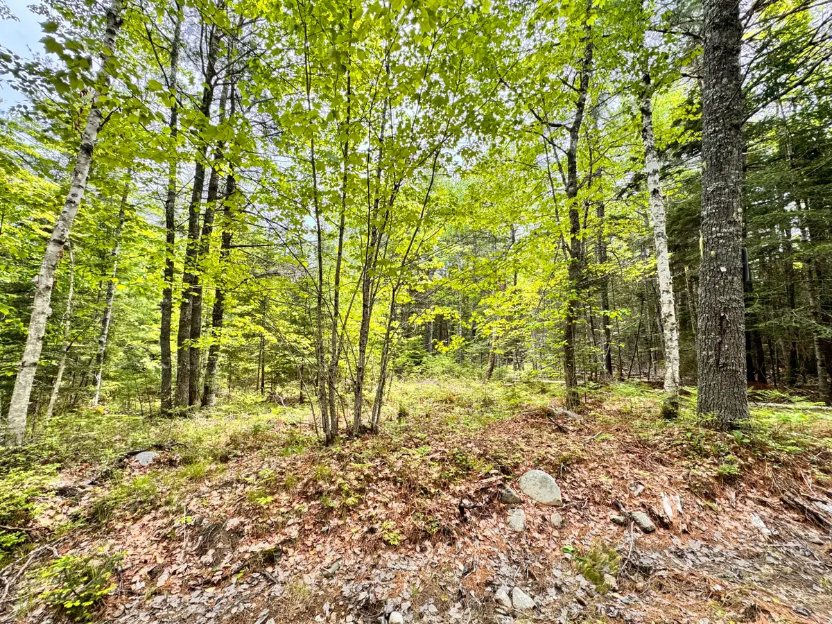 18-B Back Pasture Lane, Blue Hill, ME 04614 - #1