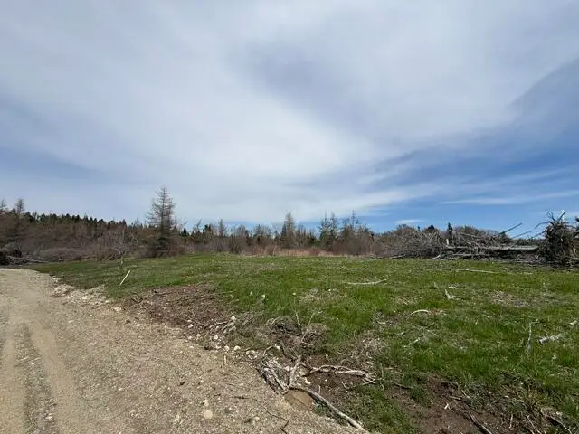 Lot 1 Holmes Bay Farms Road, Whiting, ME 04691 - #1