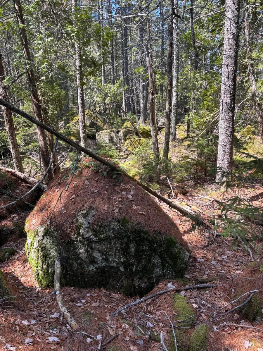 0 Acadia Highway, Orland, ME 04472 - #2