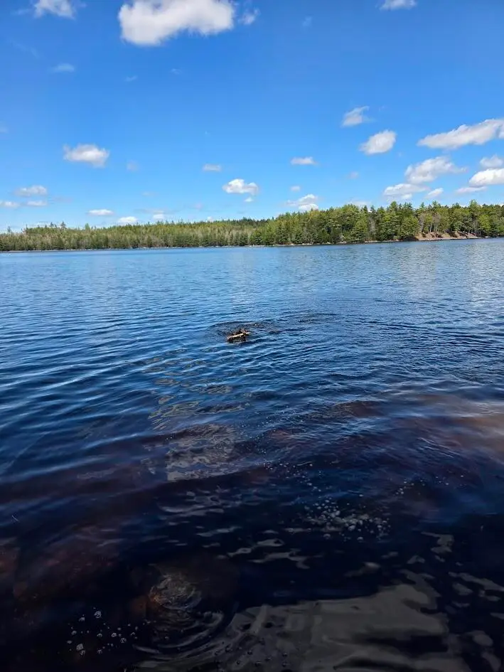 off Northfield Road, Marshfield, ME 04654 - #1