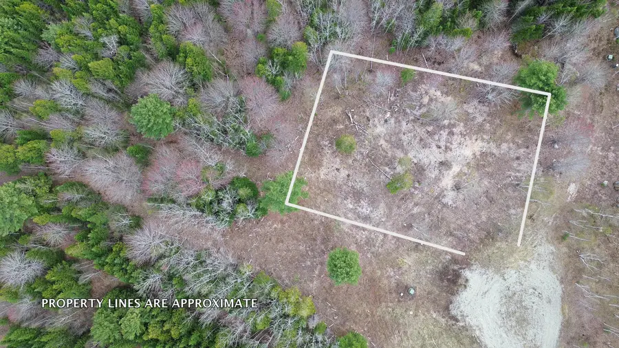 Lot 17 Bailey Mountain Road, Franklin, ME 04634 - #2