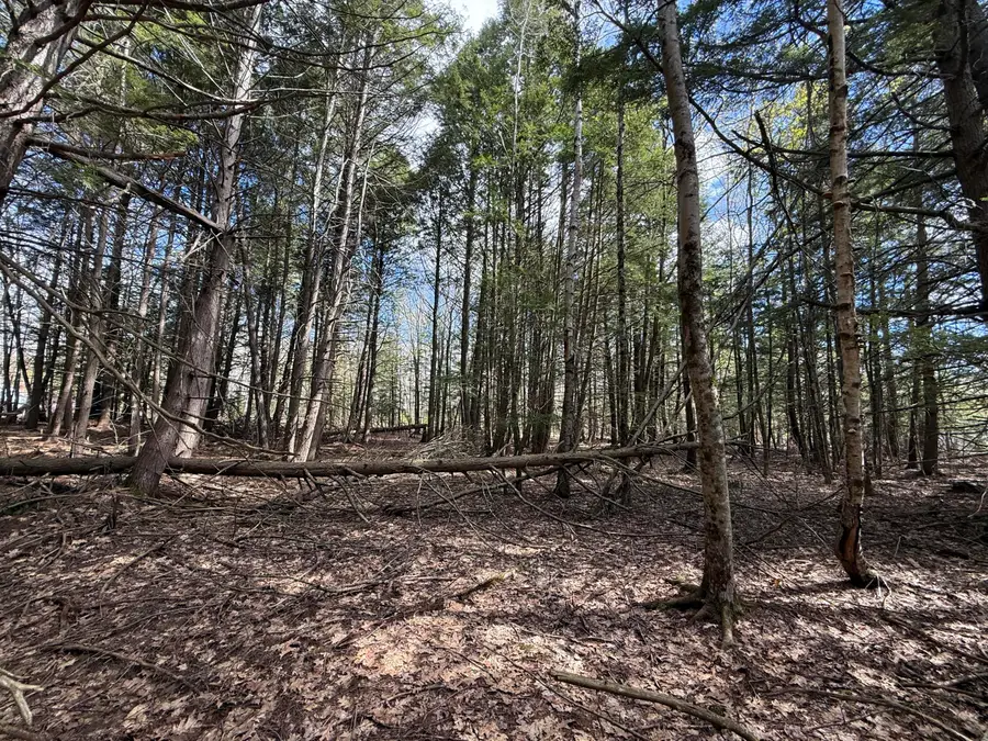 Lot # 8E01 Lord Road, Buxton, ME 04093 - #3