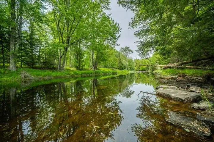 Lot 88-2 Appleton Ridge Road, Searsmont, ME 04973 - #3
