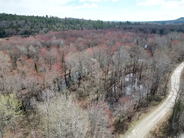 Lot 46I-2 Merriman Road, Island Falls, ME 04747