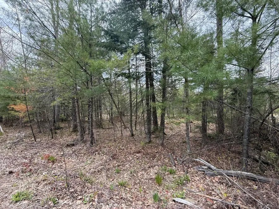 M R14 L 42 T M Wentworth Road, Lebanon, ME 04027 - #3