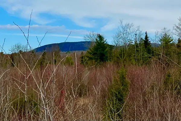 19 Aspen Lane, Sullivan, ME 04664