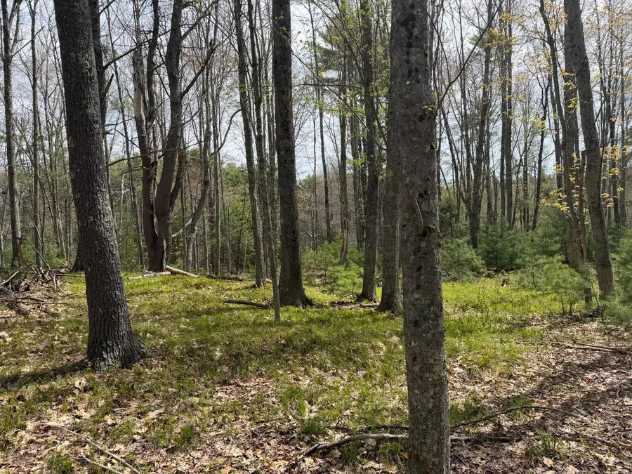 0 Freda's Lane, Arrowsic, ME 04530 - #3