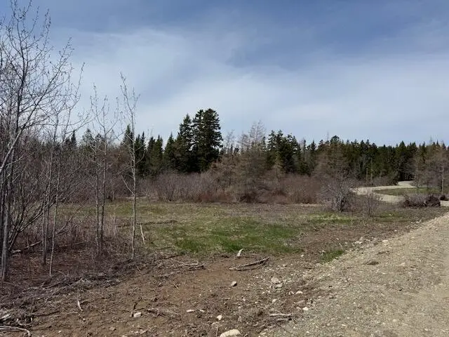 Lot 5 Holmes Bay Farms Road, Whiting, ME 04691 - #1