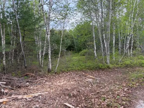 Lot #8 Thayer Road, Waltham, ME 04605
