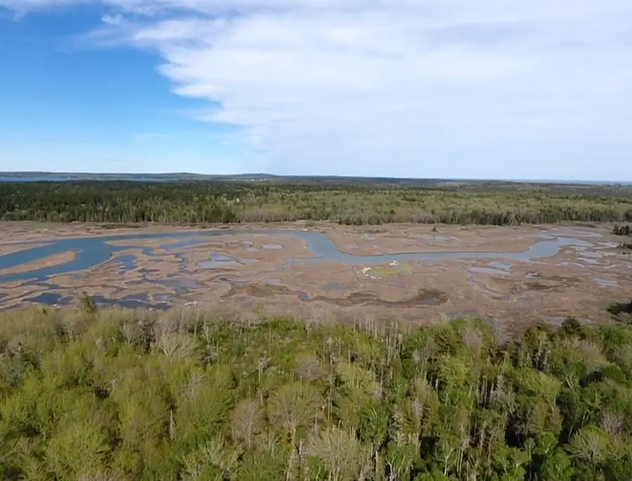 Lot 14 West Bay Road, Gouldsboro, ME 04607 - #2