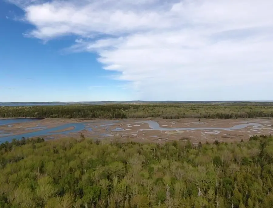 Lot 14 West Bay Road, Gouldsboro, ME 04607 - #3