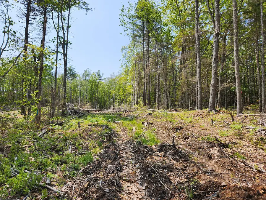 Lot 2 Woodland Drive, Kennebunkport, ME 04046 - #3