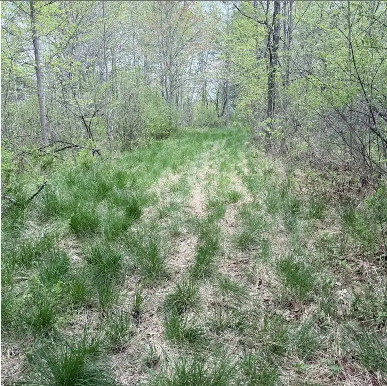 0 Constitution Avenue, Hampden, ME 04444 - #2