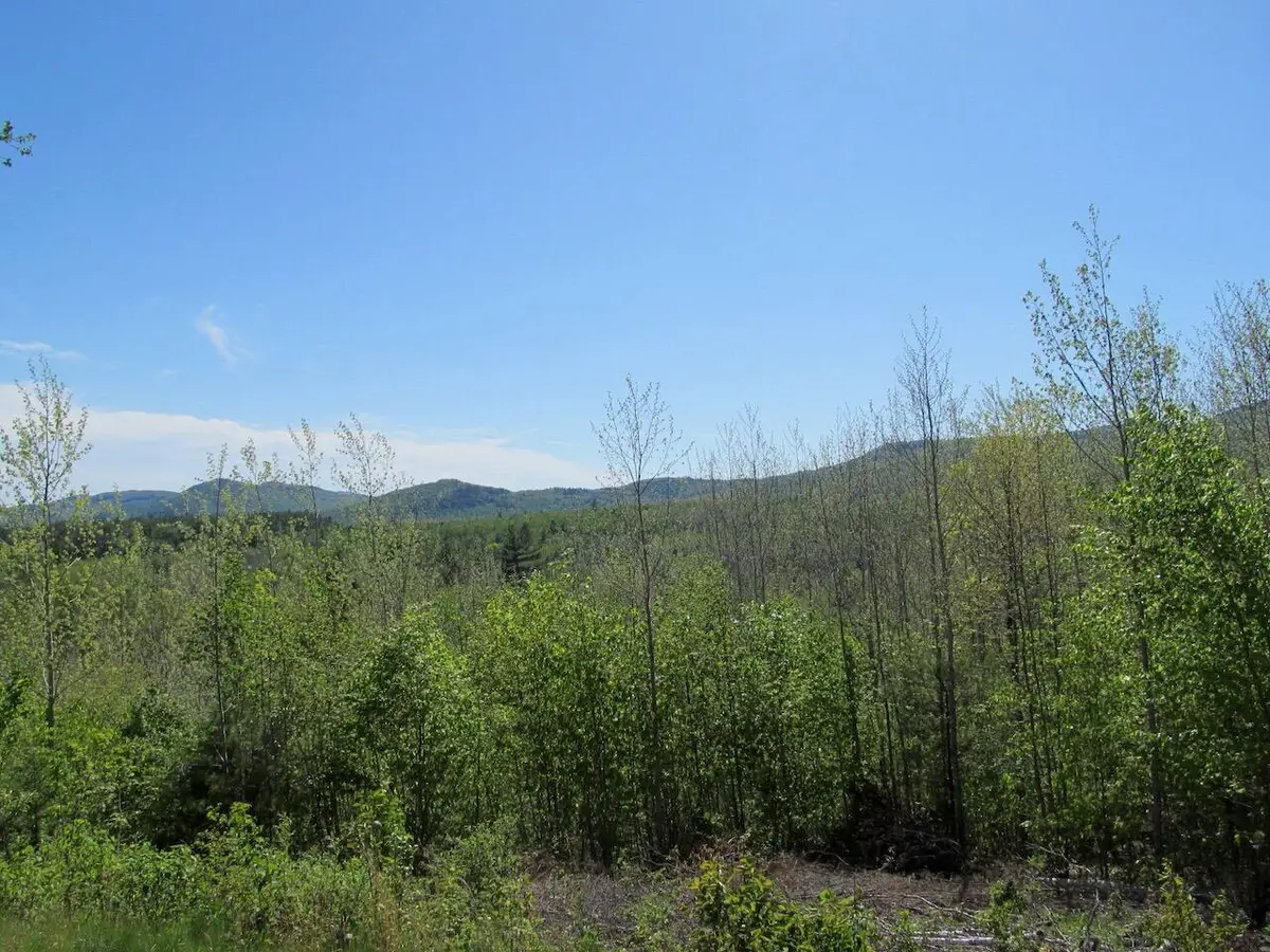 045 W Side Road, Carthage, ME 04224 - #1