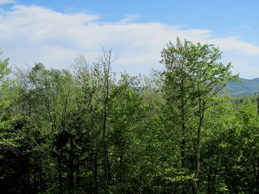 045 W Side Road, Carthage, ME 04224 - #2