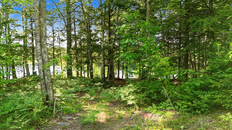 230 & 250 Beaver Ridge Road, Palermo, ME 04354 - #2