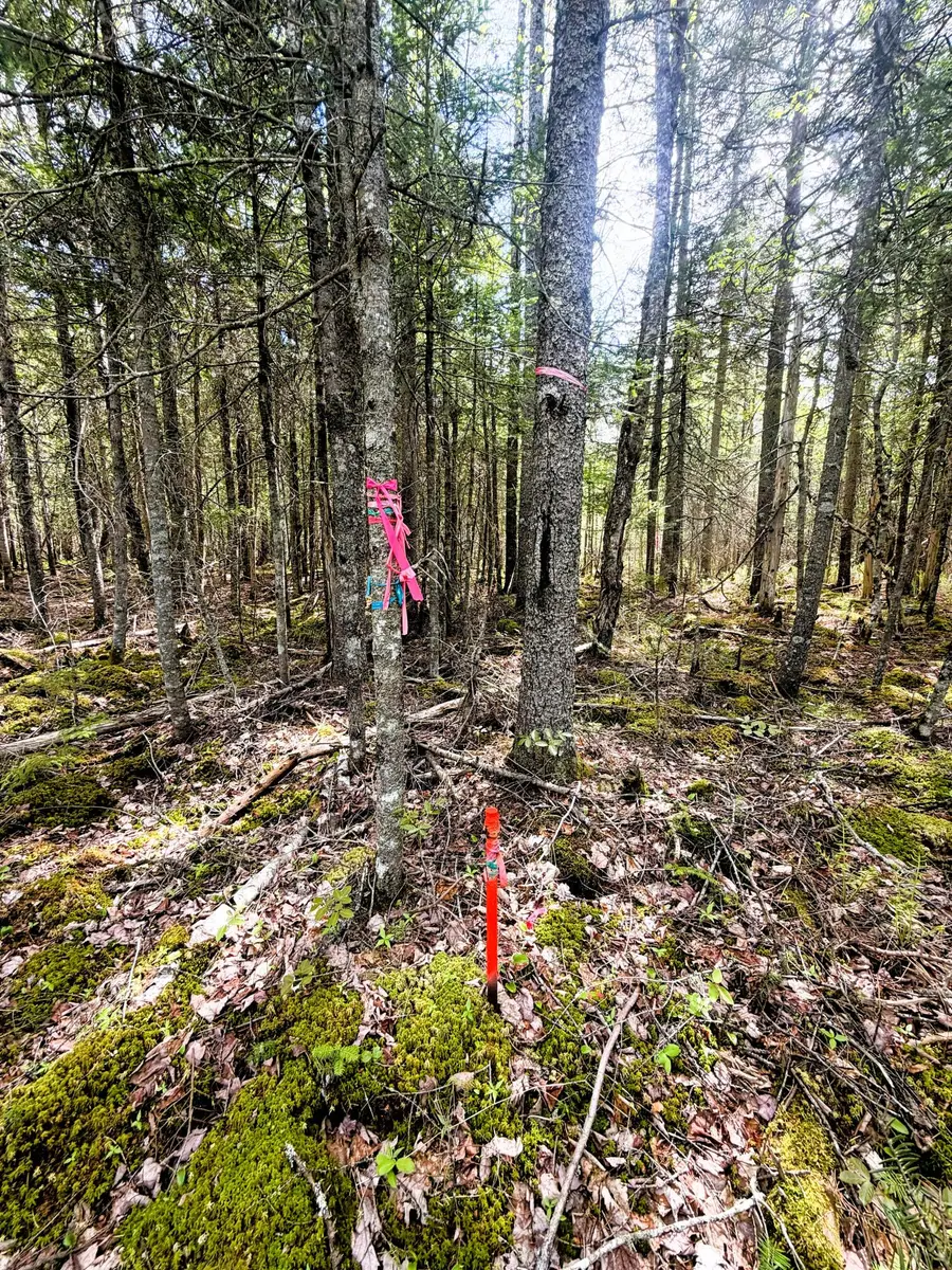 59 High Head Road, East Machias, ME 04630 - #3
