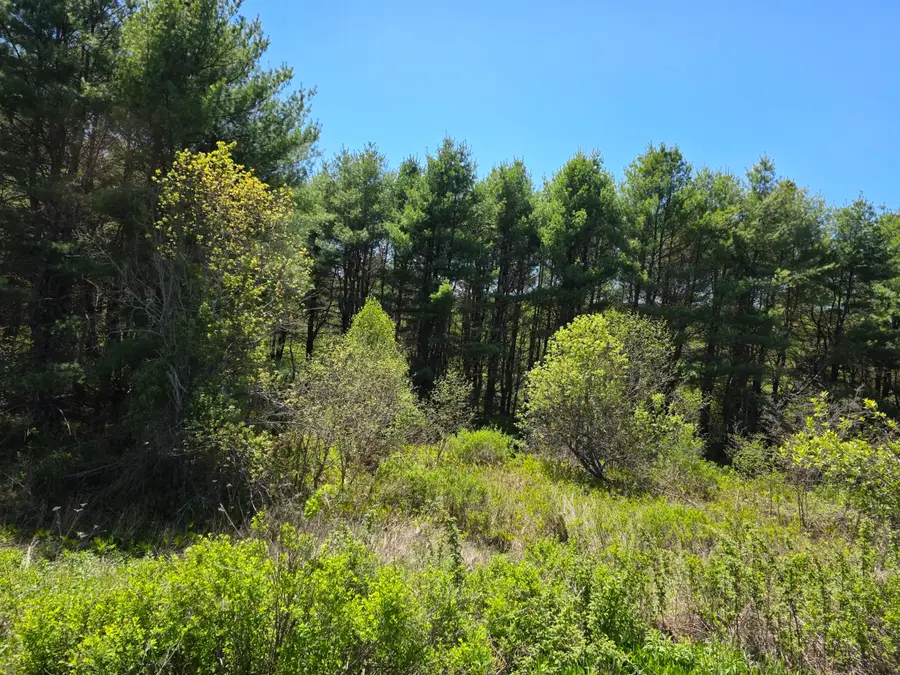 4 Goose River Estates, Swanville, ME 04915 - #2