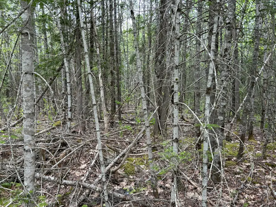 M1L15 Eastbrook Road, Eastbrook, ME 04634 - #3